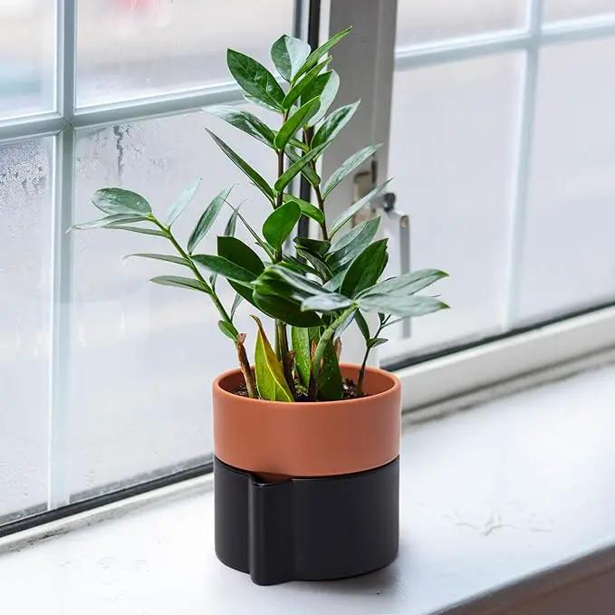6.5 Inch Self-Watering Planter Pot with Terracotta Insert, Deep Water Reservoir, and Ceramic-Alike BPA-Free Plastic Pot for Plant, Modern Planter for Houseplants, Black/Terracotta, 53-B-S-5 by GreenHaven Gardens