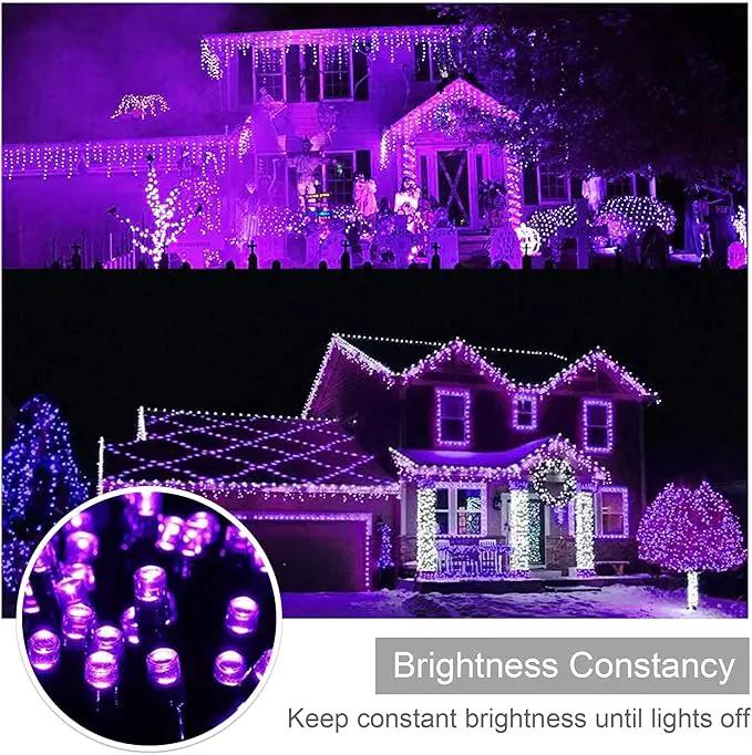 weillsnow Purple Christmas Lights, 200 LED 66Ft Plug in Waterproof Christmas String Lights, 8 Modes with Memory for Outdoor Indoor Garden Tree Patio Christmas Decorations (66FT, Purple) by GreenHaven Gardens