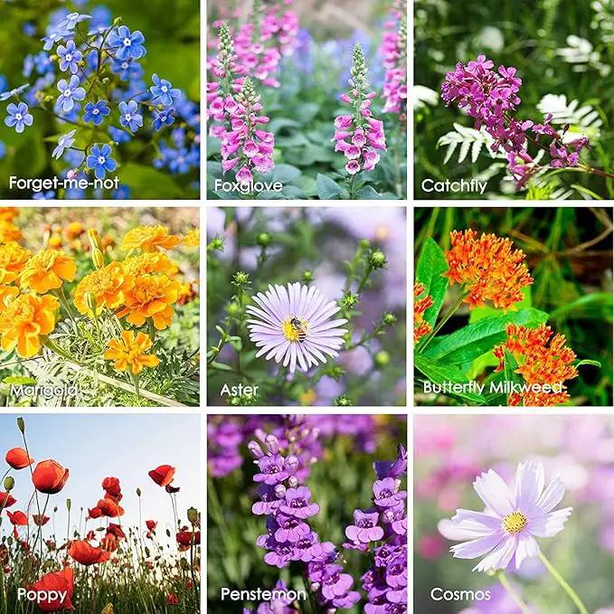Wildflower Seeds Shaker - Hummingbird and Butterfly Mix - 100,000+ Wild Flower Seeds - in Beautiful Easy to Sow Seed Shaker - Attract Pollinators with These 23 Pure Non-GMO Varieties by GreenHaven Gardens