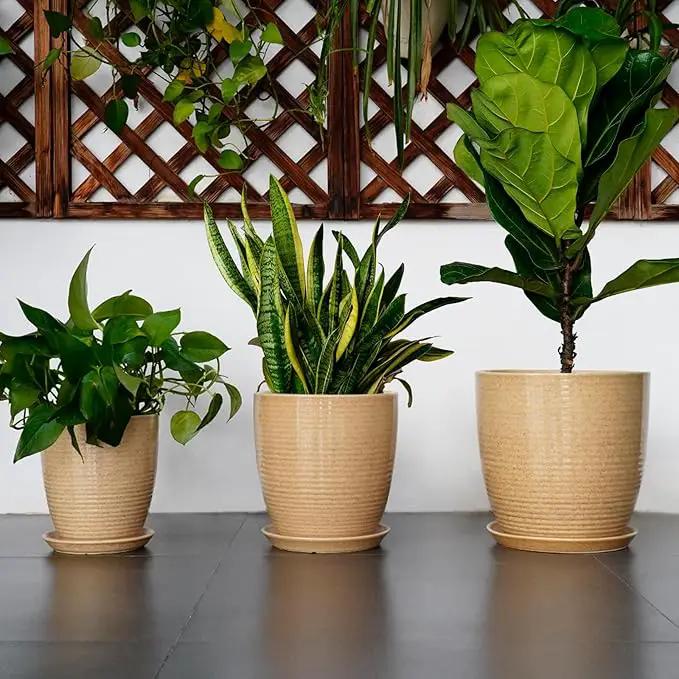 Ceramic Plant Pot 12 Inch - Large Planter for Indoor Plants Outdoor Flower Pot with Drainage Hole and Saucer Round Decorative Planter for Home Patio Garden Balcony Yellow by GreenHaven Gardens