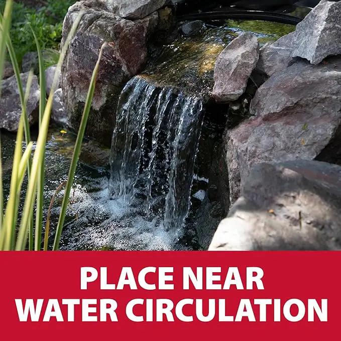 The Pond Guy Straw Barley Bale for Water Gardens, Fountains & Small Koi Ponds, Natural Clarifier, Simple & Easy to Use Pond Maintenance, 1-Pound Bale by GreenHaven Gardens