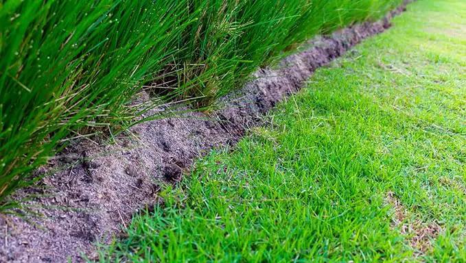 Brownie Brand Majestic Hulled Bermudagrass Seed | Premium Turf Grass for Dense, Drought-Resistant Lawns | Fast-Growing, Heat-Tolerant, Certified Seed for High-Traffic Areas. (5 Pound) by GreenHaven Gardens