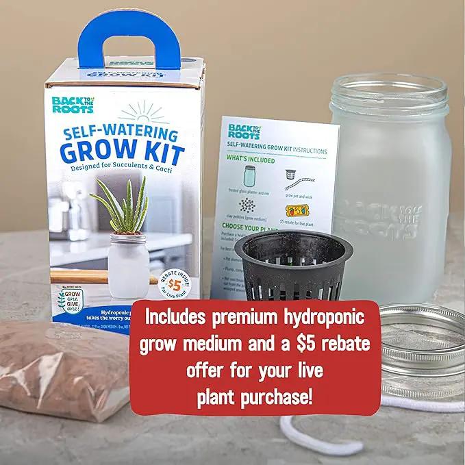 Back to the Roots Self Watering Grow Kit - Glass Hydroponic Planters for Succulents and Cacti - Hassle-Free Self-Watering System by GreenHaven Gardens