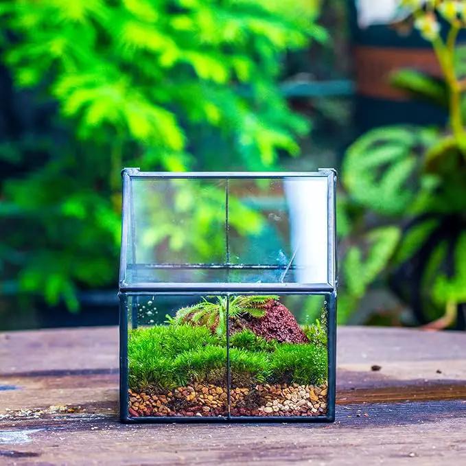 NCYP Mini Glass Geometric Terrarium with Lid - 4.25" x 4.25" x 4.92" Small House Shape Close Planter Pot for Succulents Plant - Handmade, Home Garden Office Tabletop Decor, Black (Terrarium Only) by GreenHaven Gardens