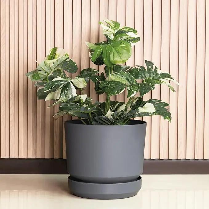 Elly Décor 8 inch Plastic Cylinder Planter Pot with Self-Watering Saucer and Drainage Hole,Lightweight & Extremely Durable, 8"x 8", Gray by GreenHaven Gardens