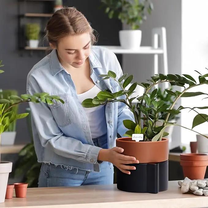 8 Inch Self-Watering Planter Pot with Terracotta Insert, Deep Water Reservoir, and Ceramic-Alike BPA-Free Plastic Planter Pot for Plant, Modern Planter for Houseplants, Black/Terracotta, 53-B-T-5 by GreenHaven Gardens
