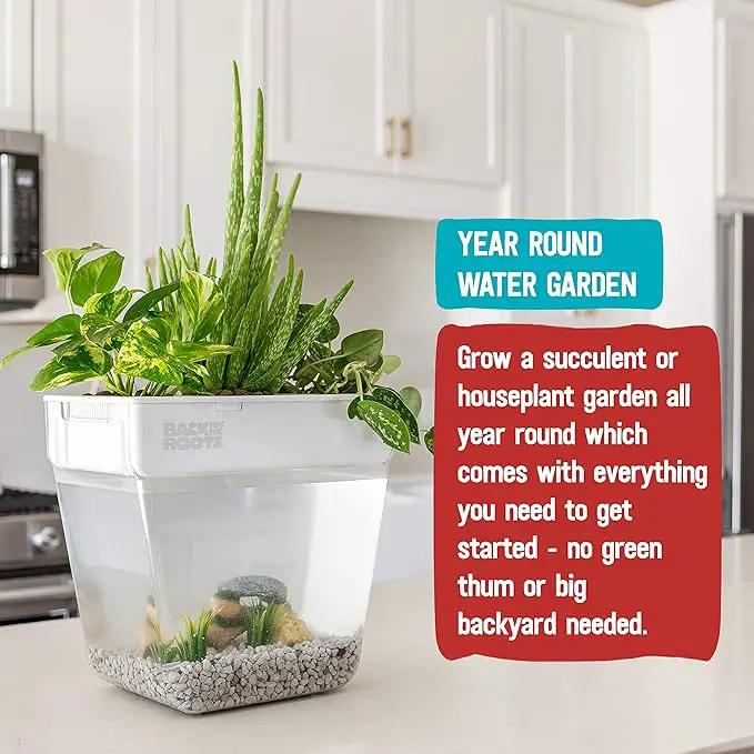 Back to the Roots Indoor Hydroponic Garden - 3 Gallon Self Watering, Mess-Free Planter for Herbs, Microgreens, Bamboo, Succulents, and Houseplants, Green by GreenHaven Gardens