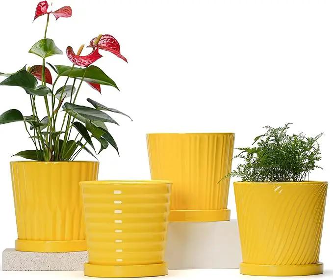 Ton Sin Plant Pots, 6 Inch Flower Pots for Plants,Ceramic Planter with Drainage Holes,Indoor Planter Pots with Saucer,Outdoor Garden Pots (Yellow, 4 Pack) by GreenHaven Gardens