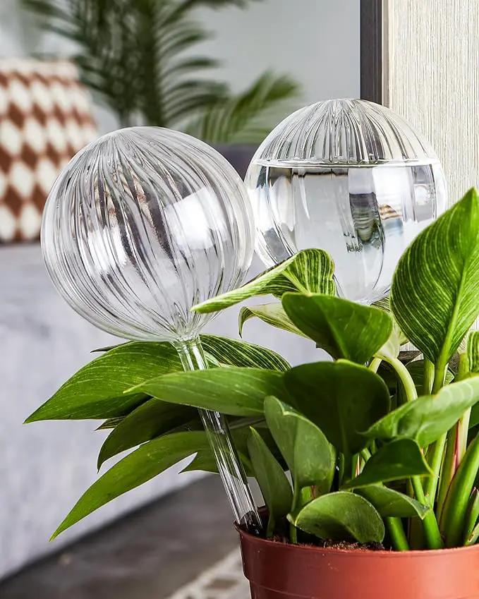DN DECONATION 4 Pcs Plant Watering Globes, Clear Glass Watering Bulb, Watering Bulbs for Indoor Plants & Outdoor Plants, Automatic Plant Watering System to Support Plant Health, Striped Water Globes by GreenHaven Gardens