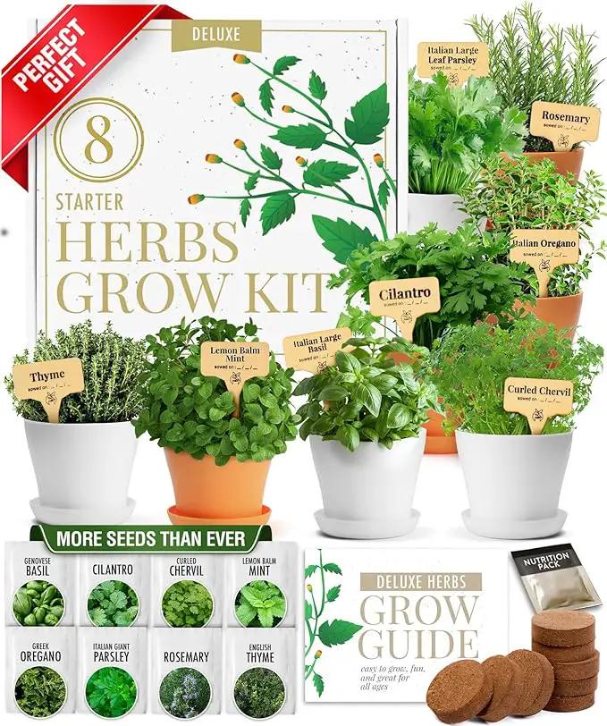 HOME GROWN 𝗣𝗥𝗘𝗠𝗜𝗨𝗠 𝗛𝗘𝗥𝗕 𝗞𝗜𝗧 8 Herb Seeds Garden Kit, Complete Indoor Planter Gift with Basil Cilantro Mint & More, Unique Kitchen Growing Set for Women Men, Birthday Housewarming Present by GreenHaven Gardens