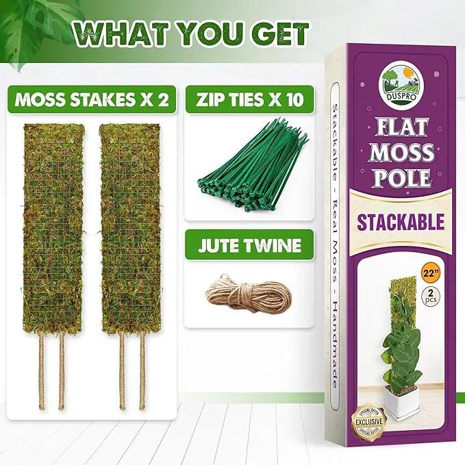 DUSPRO Flat Mesh Moss Poles for Climbing Plants Monstera Stackable Moss Pole for Plants with Real Moss Moss Plant Pole for Potted Plants Handmade Moss Stick for Indoor Plants Grow Upward 2 Pack 22” by GreenHaven Gardens