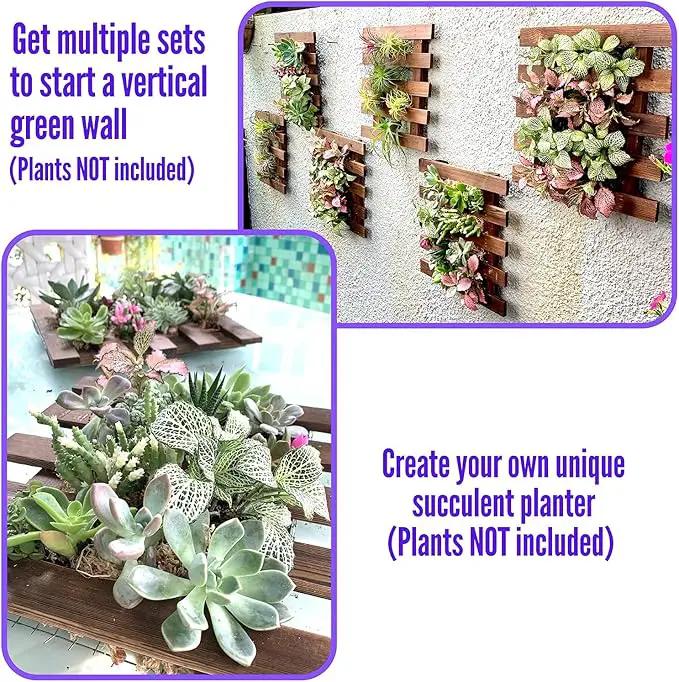 ShopLaLa Wall Planter - 2 Pack Wooden Orchid Planter Frame Display Outdoor Plants, Wall Mount Air Plants Succulent Holder Hanger, Vertical Garden Plant Wall Decor Macetas para Orquideas 15.7" (40cm) by GreenHaven Gardens
