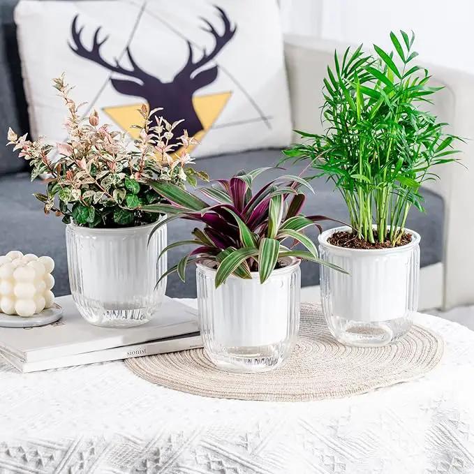 4.5 Inch 2 Pcs Self Watering Hanging Planter Indoor Plant Pots Drainage Holes, Outdoor Small Hanging Planters Flower Pot Basket, Visible Water Level, Plant Hanger Home Decor, Gardening by GreenHaven Gardens