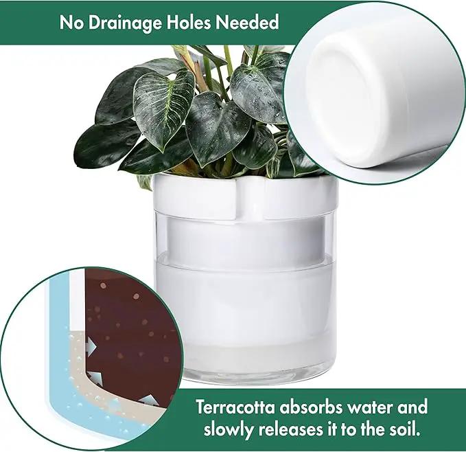 Phoenix Vine 10 Inch Self Watering Planter, White Terracotta Clay Pot with Glass Reservoir for Indoor Plants, Herbs, Flowers, Set of 1, 52-B-I-1 by GreenHaven Gardens