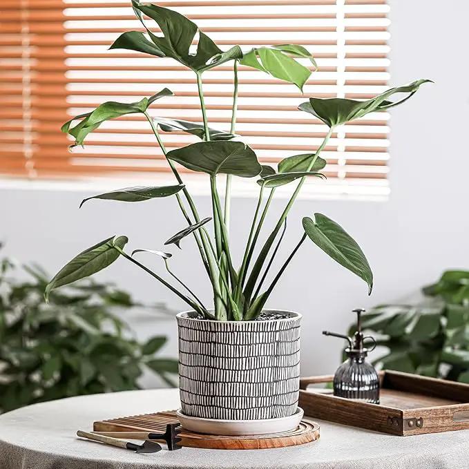 8 Inch Plant Pot: Ceramic Planter with Drainage Hole & Saucer - Cylinder Flowerpot for Indoor & Outdoor Plants - with Separate Tray for Home & Office - Striped Design by GreenHaven Gardens