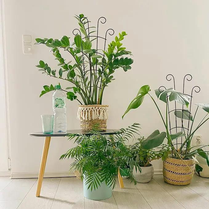 30 Inch Plant Trellis Indoor for Potted Plants 3 Pack Indoor Plant Trellis for Climbing Plants Stackable Houseplant Trellis Metal Garden Pot Trellis for Vine Ivy Support(30inch Black) by GreenHaven Gardens