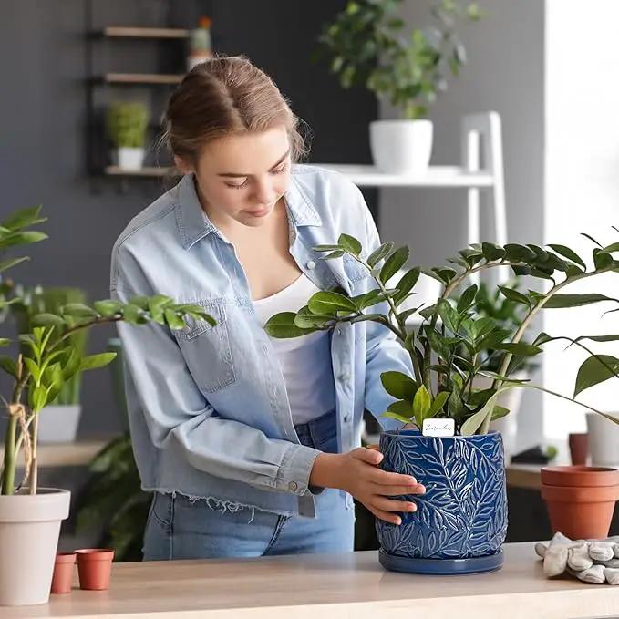 D'vine Dev 6 Inch Embossed Leaves Stoneware Planter Pot with Drainage Hole and Saucer, Midnight Blue, 27-A-X-3 by GreenHaven Gardens