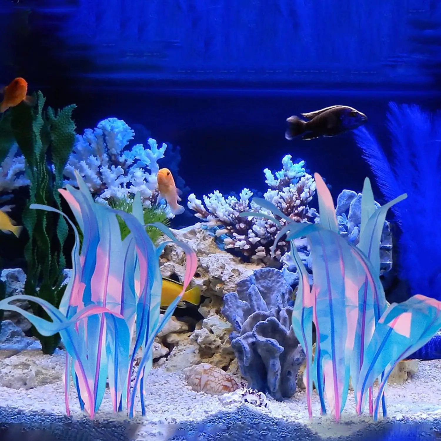 Kaiyuan Dynasty 2pc Silicone Aquarium Plants Artificial Plants for Fish Tank Glowing Kelp Aquarium Plant Decor Fish Tank Plants Simulation Artificial Water Grass,7inch,Blue by GreenHaven Gardens