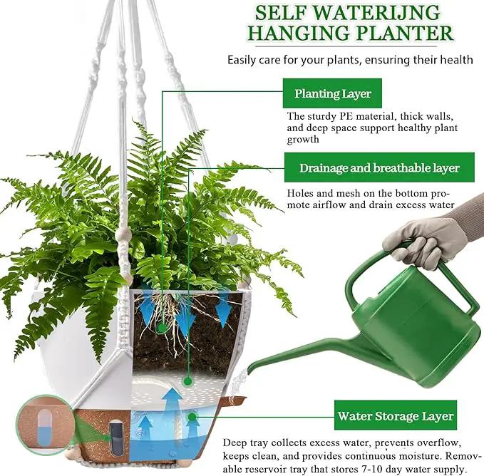 10 Inch Hanging Planters for Indoor Plants & Outdoor - 2 Pack Self-Watering Hanging Pots with Drainage Holes, Visual Reservoir, 2 Hangers - Self-Watering Hanging Baskets Flower Pots by GreenHaven Gardens