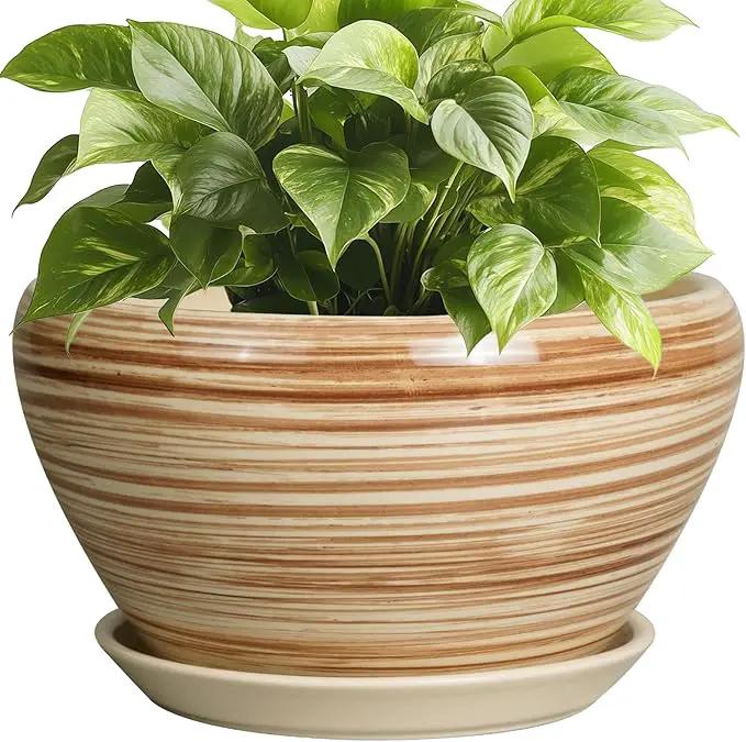 Indoor Planter 9 Inch - Ceramic Pots for Plants Plant Pot Indoor with Drainage Hole and Saucer Round Large Planter Modern Outdoor Flower Pot for House Patio Yellow by GreenHaven Gardens