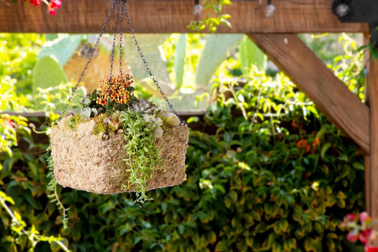 SuperMoss (29249D MossWeave Hanging Basket | Outdoor Hanging Planter with Moss | Decorative Plant Hanger for Porch, Balcony, Garden & Home Décor, Square, Small 10.5” D, Blond by GreenHaven Gardens