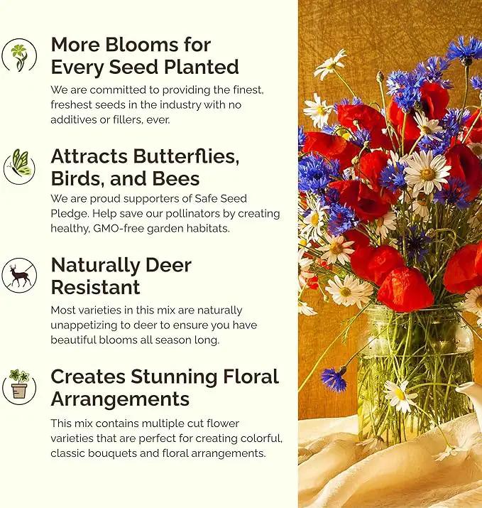 Eden Brothers Field of Dreams Flower Mixed Seeds for Planting, 1 lb, 480,000+ Seeds with German Chamomile, Cornflower | Attracts Pollinators, Plant in Spring or Fall, Zones 3, 4, 5, 6, 7, 8, 9, 10 by GreenHaven Gardens