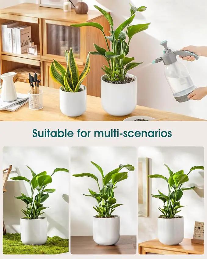 vancasso 8 Inch Ceramic Plant Pots, Planters with Drainage Hole, Flower Pots Planters Pots for Indoor Plants, Modern Indoor Decorative Garden Pot, Home Decor, White by GreenHaven Gardens