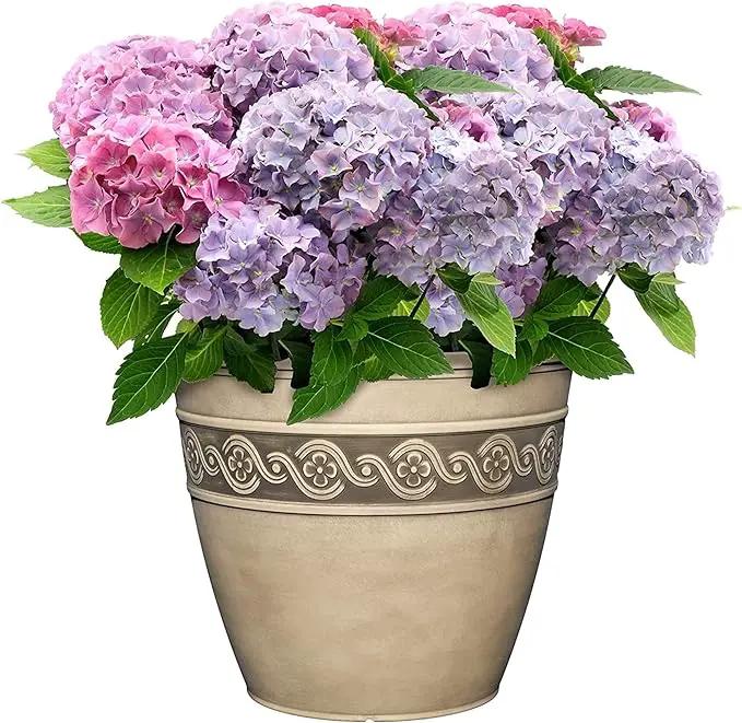Classic Home and Garden Corinthian Resin Flower Pot Planter, Concrete Grey, 10" by GreenHaven Gardens