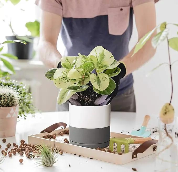 D'vine Dev Set of 2 Plants Pots, 6 Inch Ceramic Planter Pot for Plants with Drainage Hole and Saucer, White/Speckled Grey, 94-V-C-6 by GreenHaven Gardens