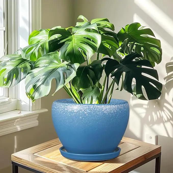 Ceramic Planter Pot 10 Inch - Ceramic Plant Pot for Indoor Outdoor Plants, Large Flower Pot with Drainage Hole and Saucer, Blue by GreenHaven Gardens