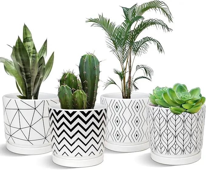 Ton Sin Plant Pots,5.5 Inch White Pots for Indoor Plants with Drainage Holes,Cylinder Flower Pot Ceramic Planters with Saucer,Cactus Succulent Outdoor Garden Pots Set of 4 by GreenHaven Gardens