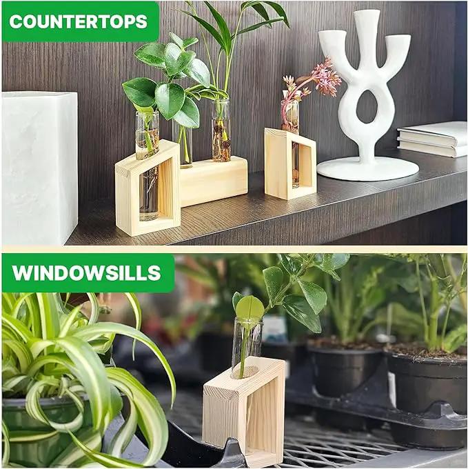 Plant Propagation Station - 3-Piece Wooden Stand with 4 Glass Test Tubes, Terrarium Vases for Plants, Hydroponic Propagation Planter for Home office Decor, Plant Lover Gift. by GreenHaven Gardens