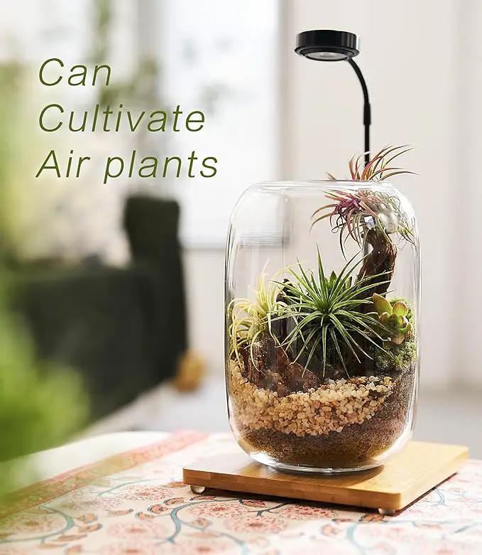 Terrarium Kit/Supplies Terrarium Plants Set with Grow Light, for Succulents Miniature Gardening, Include Terrarium jar Tool Set Live Moss Rocks Soil Driftwood and Decor, for Plant Lovers by GreenHaven Gardens