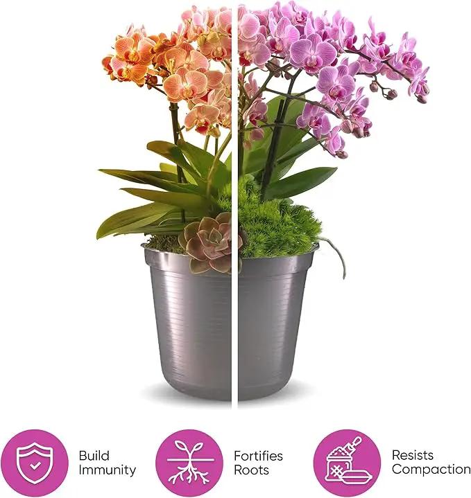 Molly's Orchid Mix - Premium Soilless Potting Mix for Orchids - Contains Bark, Coco Chips, Akadama, Pumice, Lava Rock 10 Dry Quarts by GreenHaven Gardens