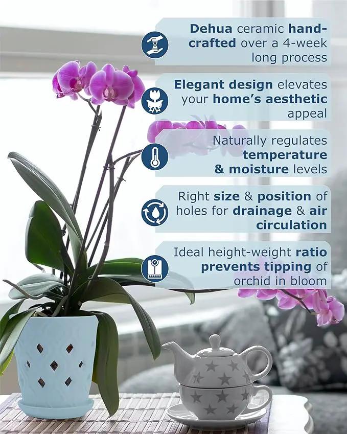 Whispering Winds Ceramic 5 x 6 Inch Orchid Pot with Holes & Saucer for Aeration and Drainage - Decorative Orchid Pots for Repotting, Prevent Over Watering & Root Rot (Charlotte Blue) by GreenHaven Gardens