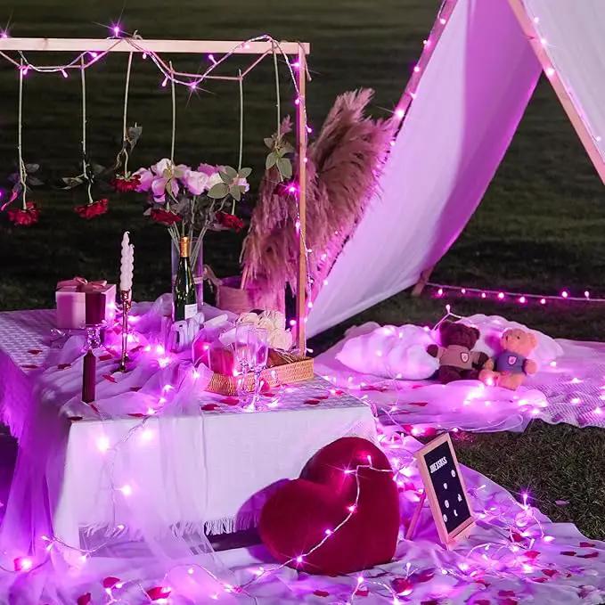 JMEXSUSS Connectable 100 LED Room Lights, 33ft 8 Modes Pink Christmas Lights Clear Wire, Plug in Pink String Lights Indoor Outdoor for Room Decor Christmas Tree Bedroom Valentines Party by GreenHaven Gardens