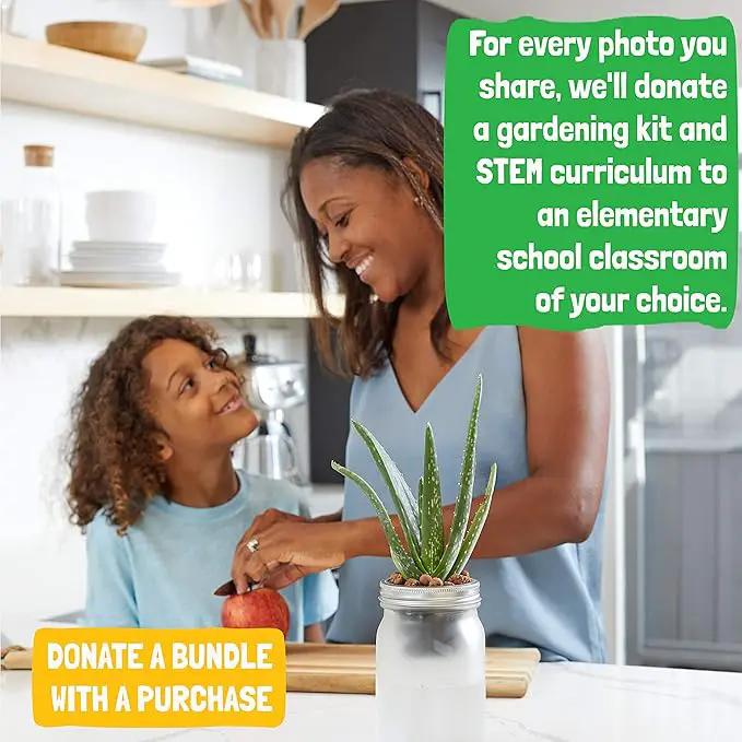 Back to the Roots Self Watering Grow Kit - Glass Hydroponic Planters for Succulents and Cacti Self-Watering System by GreenHaven Gardens