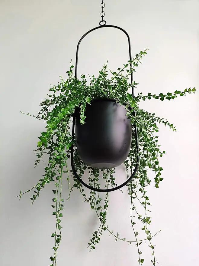 Boho Black Metal Plant Hanger,Metal Wall and Ceiling Hanging Planter, Modern Planter, Mid Century Flower Pot Plant Holder, Minimalist Planter for Indoor Outdoor Home Decor by GreenHaven Gardens