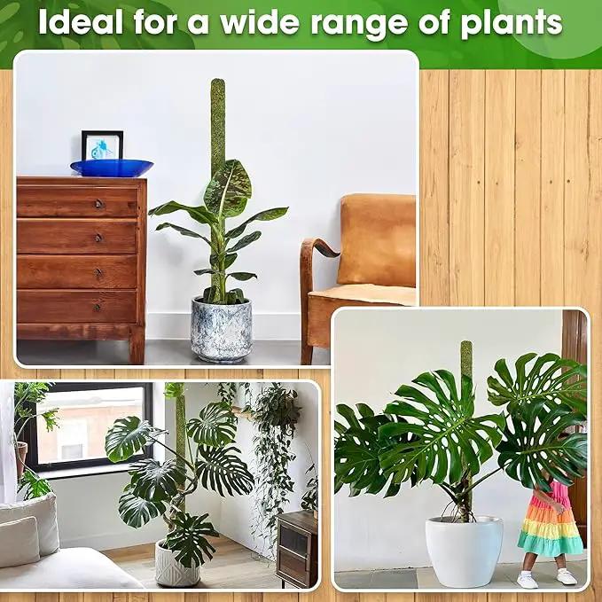 DUSPRO 59’’ Large Green Mesh Moss Pole Monstera Plant Support, Tall Plant Stakes, Moss Pole for Plants Monstera, Garden Pole, Moisture Stick for Plants (1pc., 59''), Natural by GreenHaven Gardens