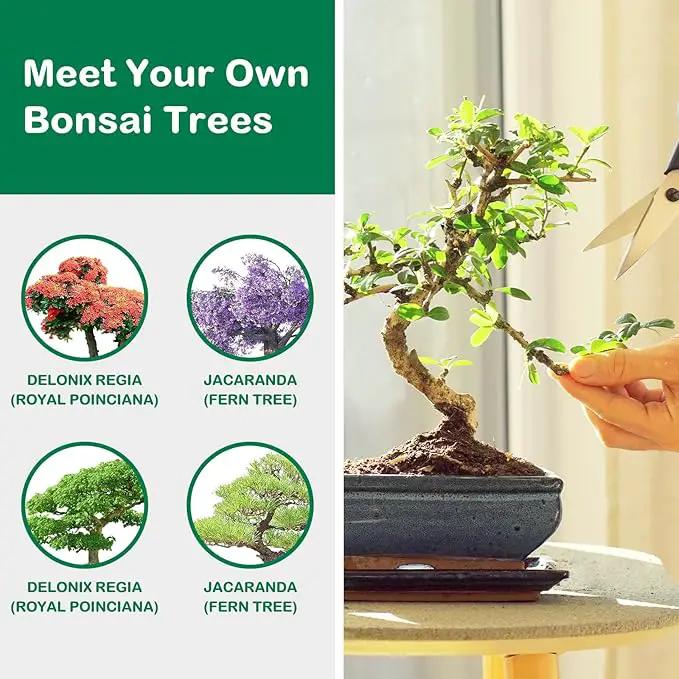 Bonsai Tree Kit, Bonsai Starter Kit for Growing Bonsai Plants with Tools, Grow Bonsai Tree Live Indoor, Garden Crafts Hobby Kits, Unique DIY Gardening Gifts for Men Women Mother