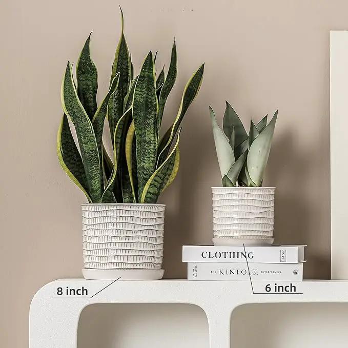 8 Inch Plant Pot: Ceramic Planter with Drainage Hole & Saucer - Cream White Flowerpot for Indoor & Outdoor Plants - with Separate Tray for Home & Office - Wave Embossed Design by GreenHaven Gardens