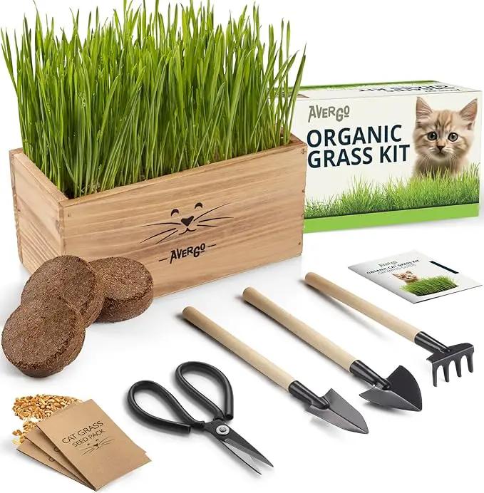 Organic Cat Grass for Indoor Cats - 4X Seed Packets | Pet Cat Grass Kit for Growing Wheat Grass w Planting Seeds, Tools & Planter by GreenHaven Gardens