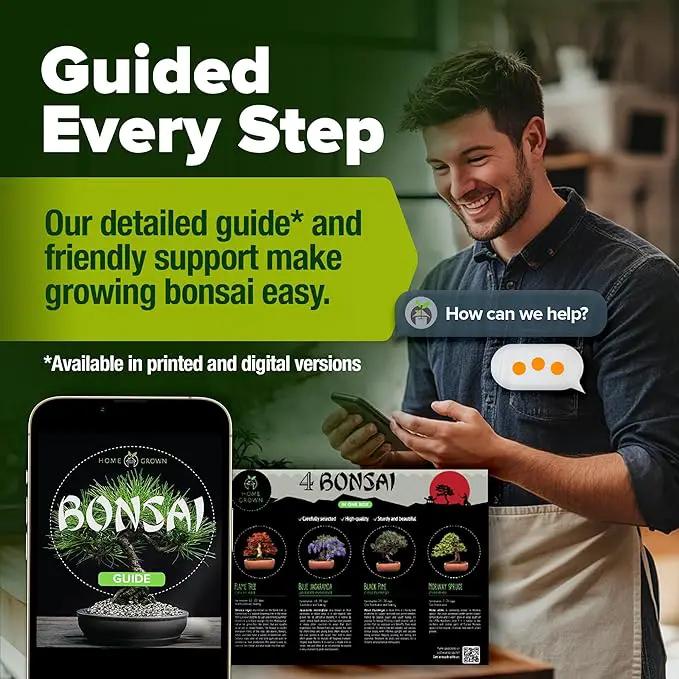 Bonsai Tree Kit - Gifts for Men & Women - Grow 4 Bonsai Trees - Unique Gardening Crafts for Adults, DIY Hobbies for Plant Lovers & Gardeners - Unusual Christmas Gift Ideas for Mom & Dad by GreenHaven Gardens