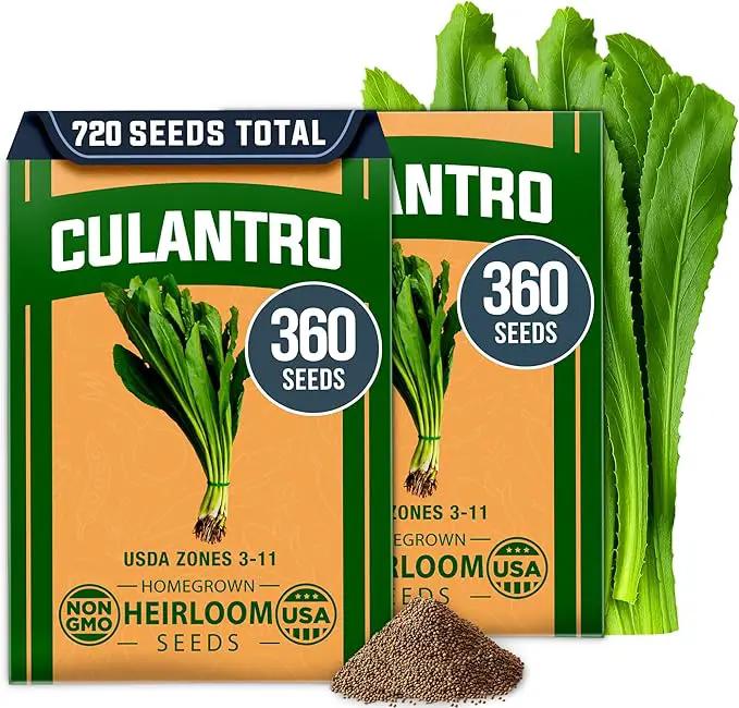 HOME GROWN Culantro Seeds - 720+ 𝗡𝗢𝗡-𝗚𝗠𝗢, 𝗨𝗦𝗔-𝗦𝗢𝗨𝗥𝗖𝗘𝗗 Heirloom Herb Seeds for Planting, Slow-Bolting, Flavorful Cilantro Alternative, Great for Outdoor Herb Gardens (Eryngium foetidum) by GreenHaven Gardens