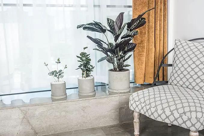 Ekirlin 9 Inch Flower Plant Pot Indoor - Grey Cement Garden Planter Concrete Planter with Drain Hole Saucer, Modern Succulents Containers for Home Decor, Office & Outdoor by GreenHaven Gardens