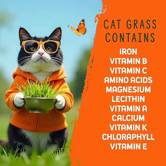 Organic Cat Grass Premium Grow Kit 4 Pack | Non GMO Mixed Heirloom Seeds | Wheatgrass - Oat Grass - Barley Grass Blend by GreenHaven Gardens