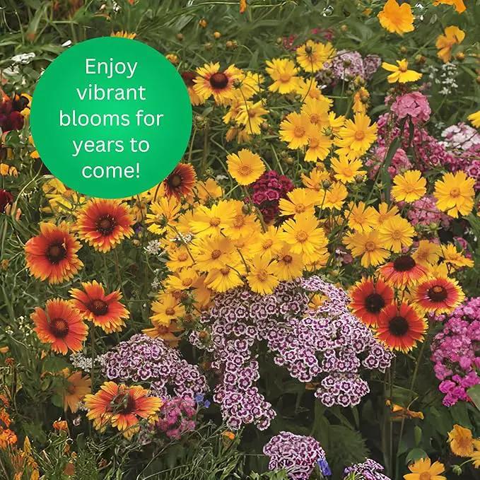 Earth Science Perennial Wildflower Mix - 3-in-1 Formula with Premium Wildflower Seeds—6 lb— Plant Food and Soil Conditioners - Non-GMO, Natural Ingredients by GreenHaven Gardens