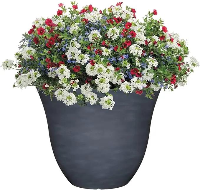 Classic Home and Garden Indoor/Outdoor Round Honeysuckle Resin Flower Pot Planter, Zinc Grey, 13" by GreenHaven Gardens