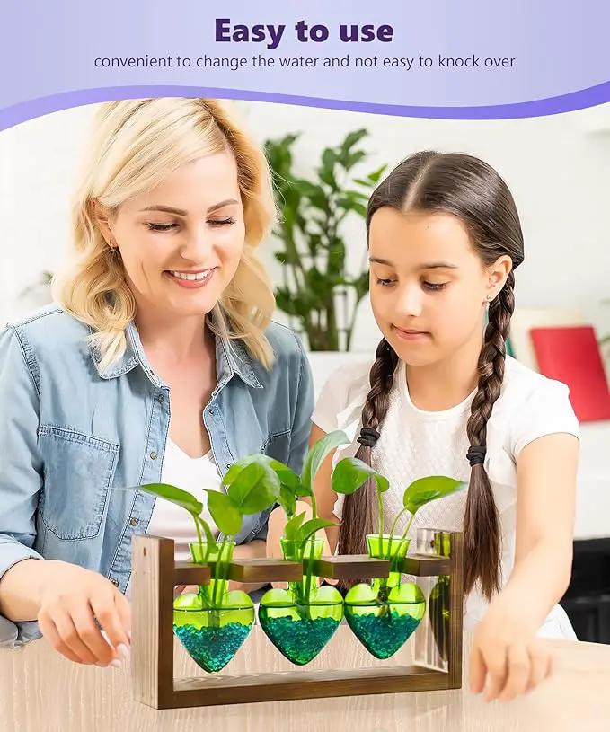 Nacome Plant Terrarium for Office Decor: Birthday Gifts for Plant Lovers Women Mom Wife - Wooden Stand Tabletop Planter 3 Bulb Glass Vase Heart Shaped for Hydroponics Indoor Home(Green) by GreenHaven Gardens