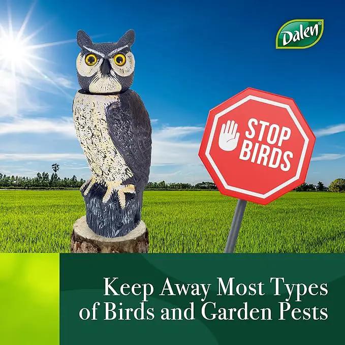 Dalen SOL-R Action Solar Fake Owl Decoy to Scare Birds Away from Gardens, Rooftops, and Patios - Safe and Humane, 18" 360º Rotating Head by GreenHaven Gardens